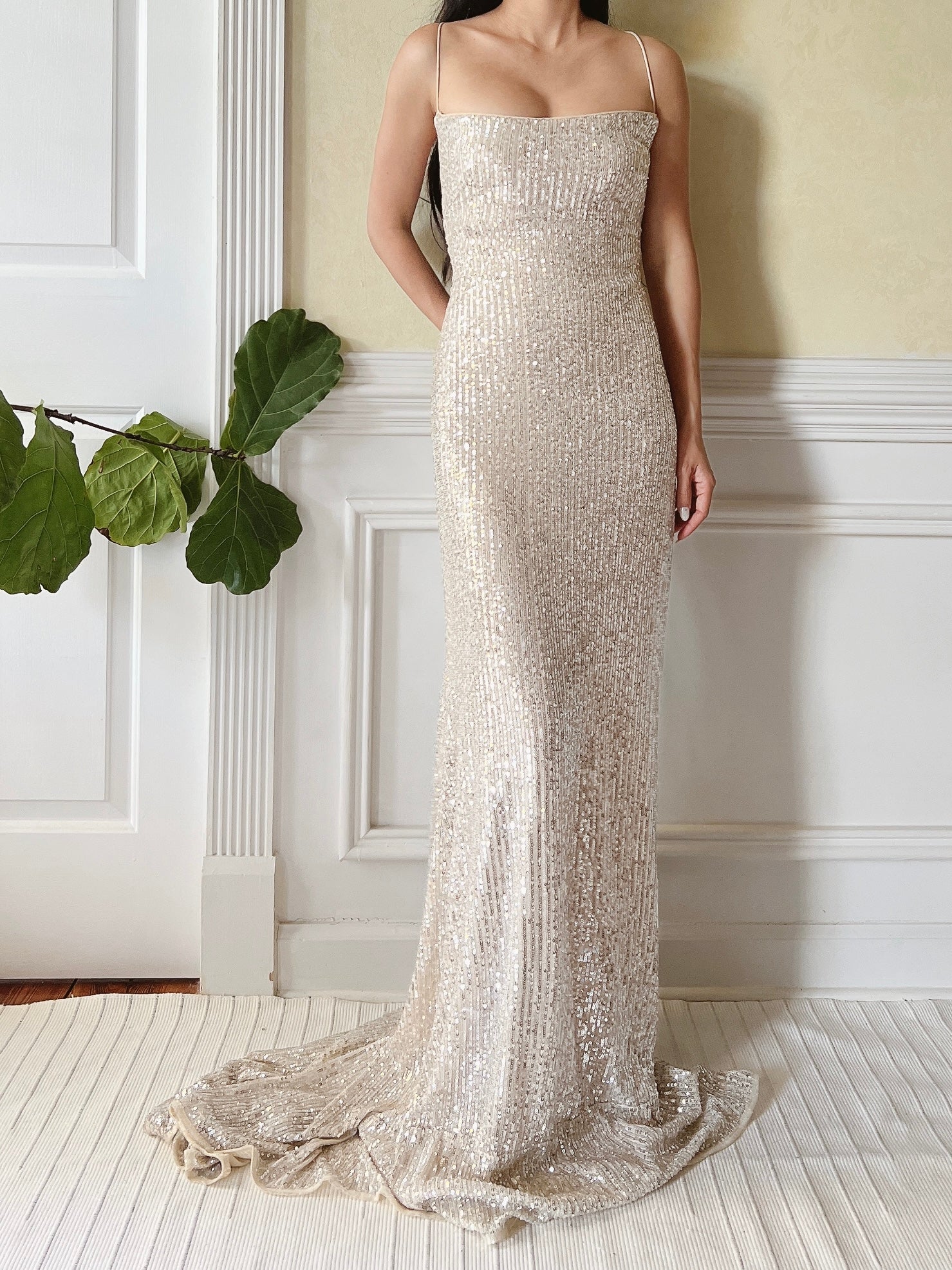 Nude Trained Sequins Gown - S/4/6