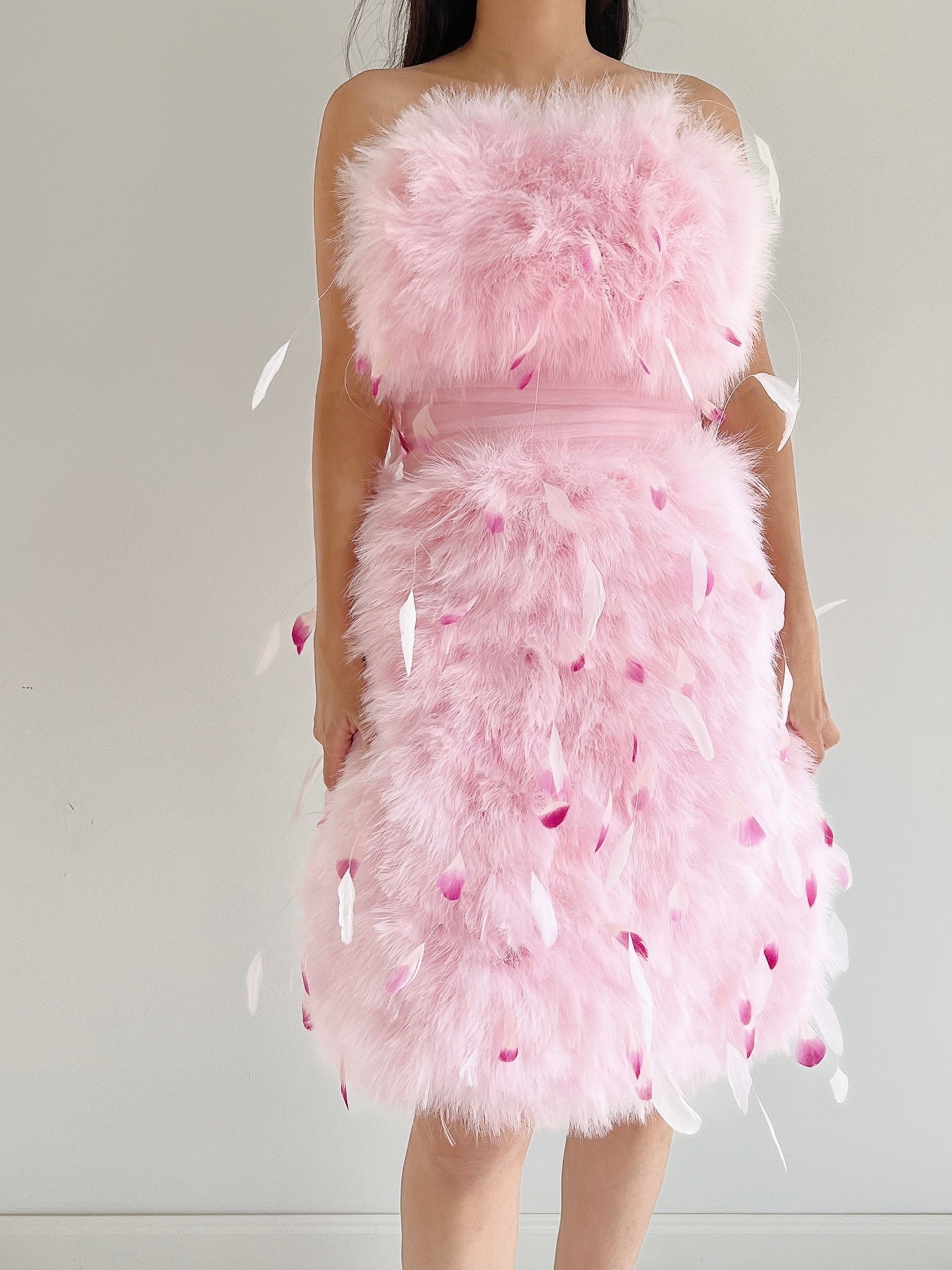 NWT Pamela Roland Pink Feather Dress - S/4